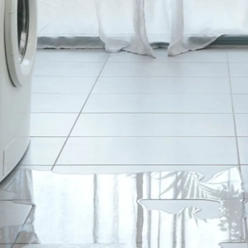 Appliance Leak Cleanup in Sac County, IA