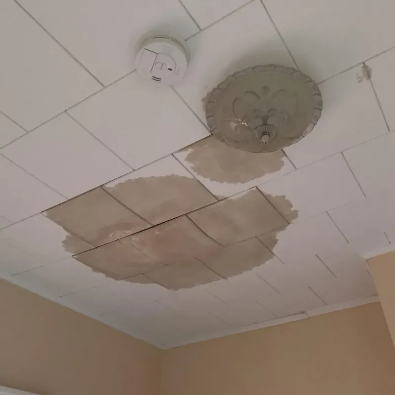 Ceiling Water Damage Repair in Sac County, IA