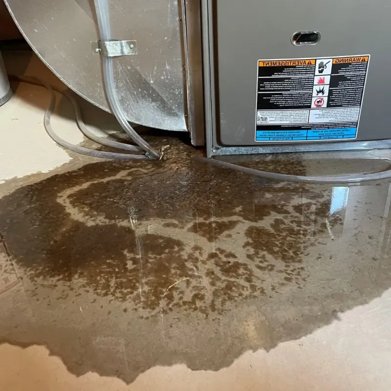 Pipe Burst and Leak Restoration in Sac County, IA