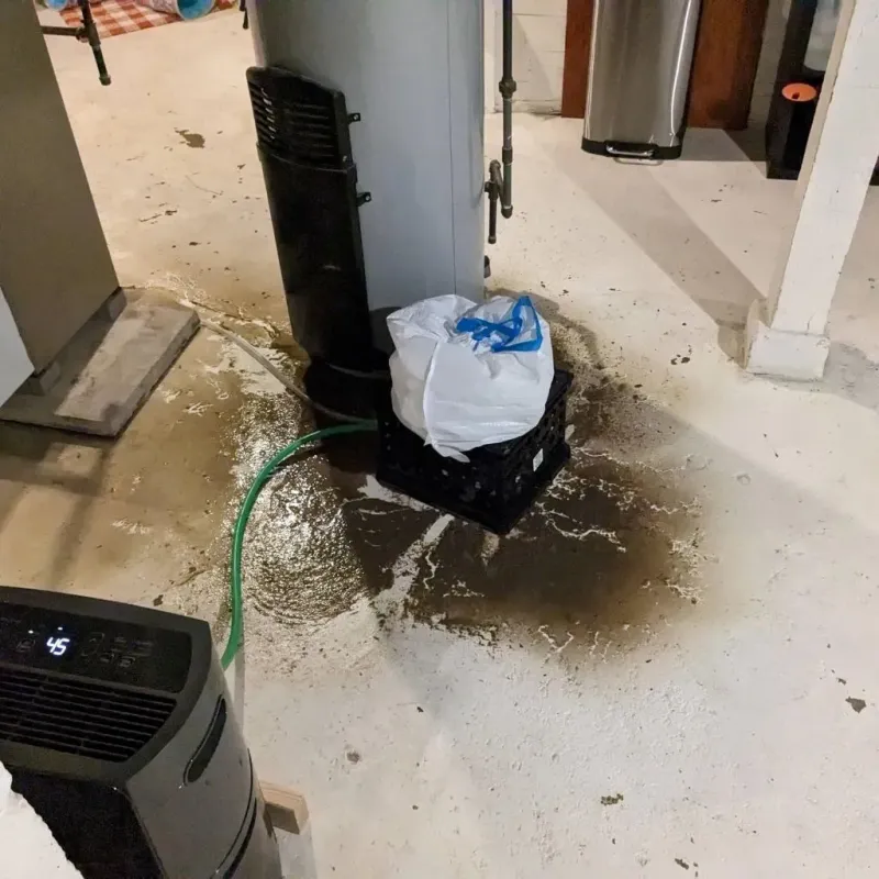 Sewage Backup Cleanup Service in Sac County, IA